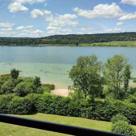 Duplex Le Reflet Du Lac Malbuisson Εξωτερικό φωτογραφία
