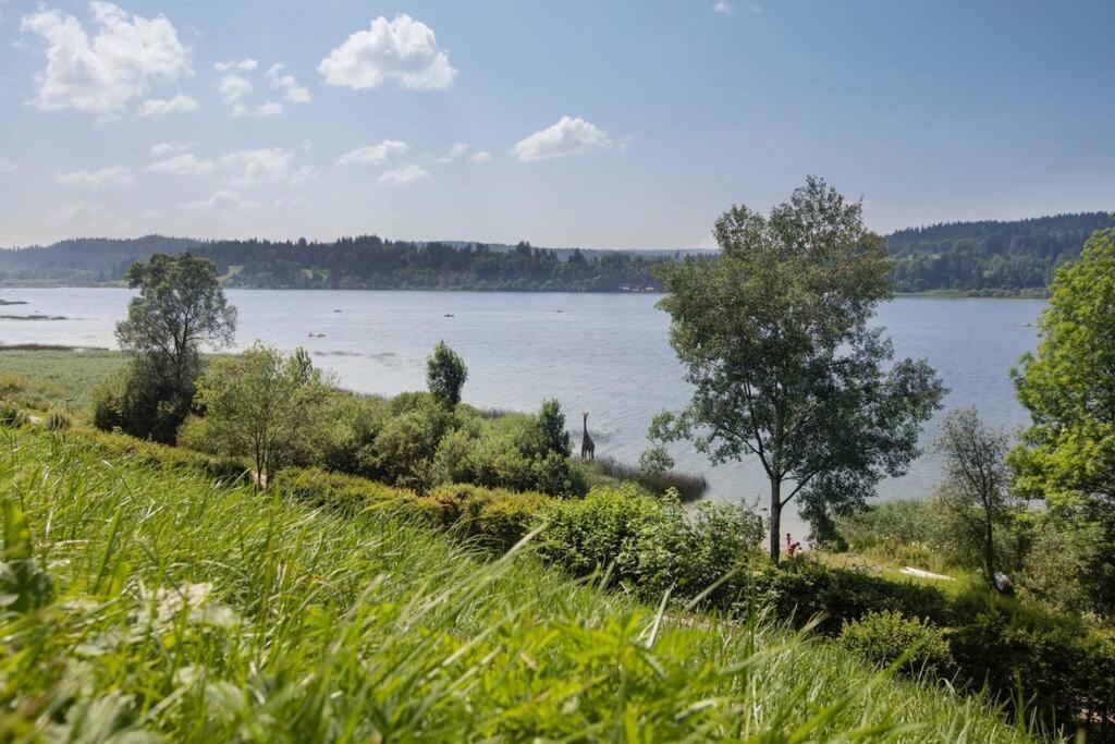Duplex Le Reflet Du Lac Malbuisson Εξωτερικό φωτογραφία